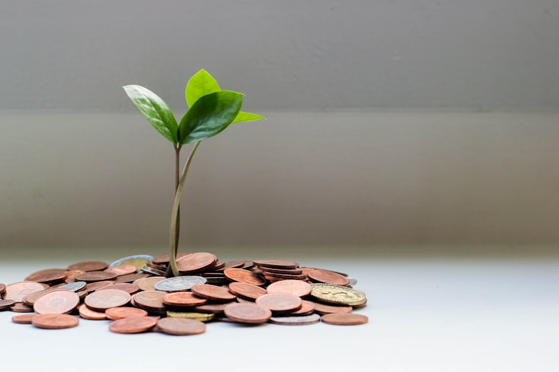 Debt and loan consolidation